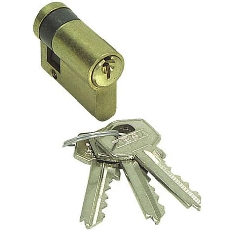 Tesa 5200 Cylindre à Came Excentrique Court Plaqué Laiton 30 X 10 1 Tesa 5200 Cylindre à Came Excentrique Court Plaqué Laiton 30 X 10