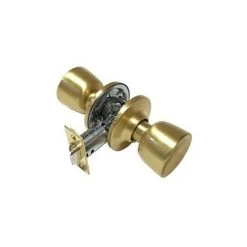 TESA Bouton 3505-60/70uo Tulipe Laiton Poli