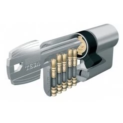 Cylindre TESA TE5 - 40x40mm - Nickelé - Vis De 40mm - 50304040NY